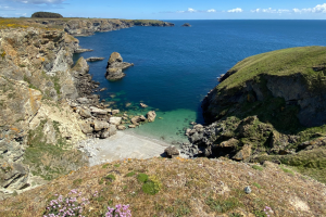 Les Meilleures Randonnées sur les Îles Bretonnes : Belle-Île et Ouessant